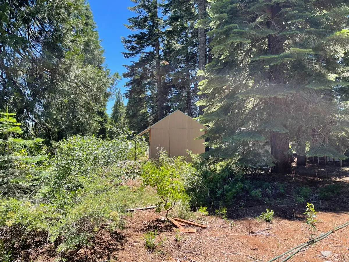 Nevada City, CA 95959,30326 Yellow Pine LN