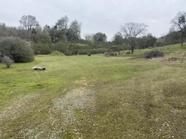 Burson, CA 95252,13552 Frausto LN