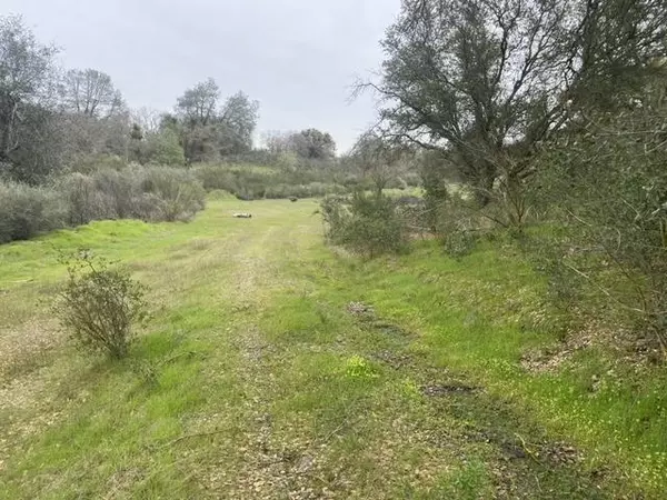 Burson, CA 95252,13552 Frausto LN