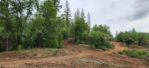 Grass Valley, CA 95945,18148 Greenhorn RD