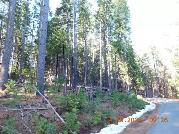 West Point, CA 95255,3887 Roden DR