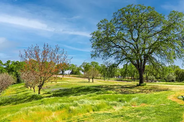 Valley Springs, CA 95252,8267 Ospital