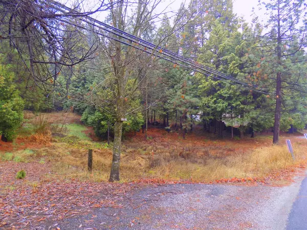 Arnold, CA 95223,1895 Hwy 4