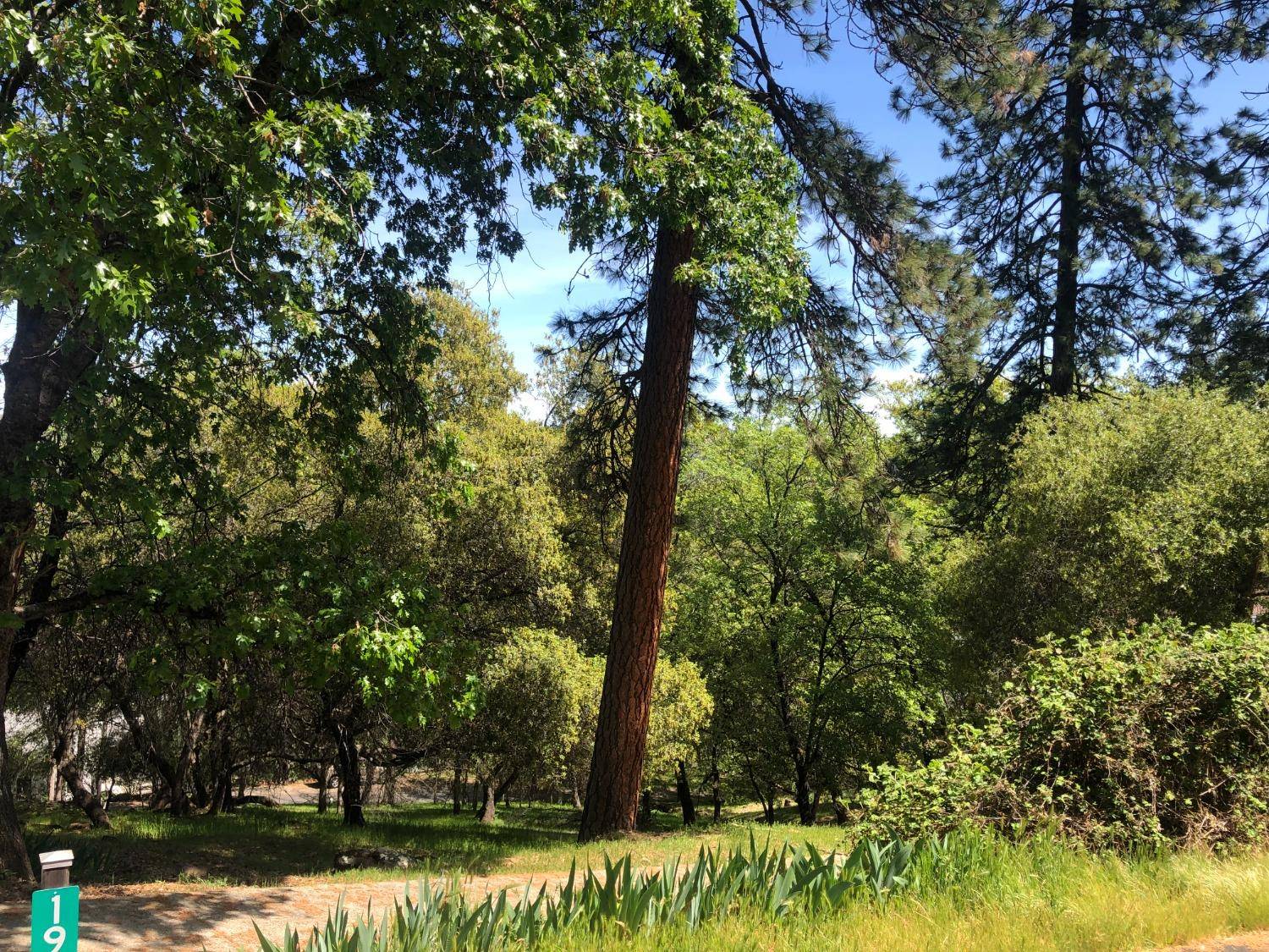 19119 Hummingbird DR, Penn Valley, CA 95946