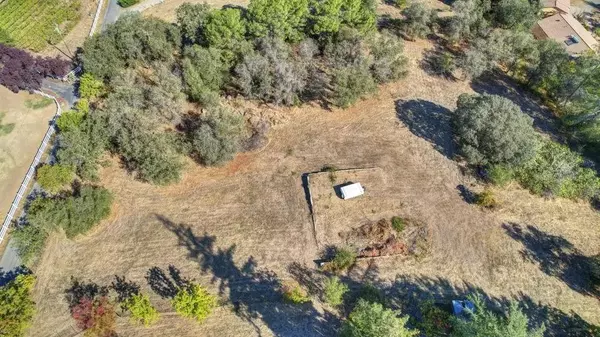 Loomis, CA 95650,0 valley quail