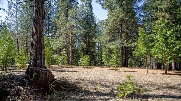 Pollock Pines, CA 95726,TBD Bushwacker LN