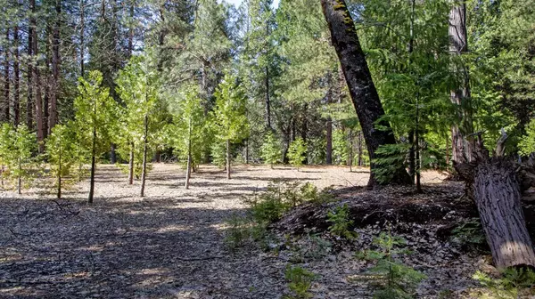 Pollock Pines, CA 95726,TBD Bushwacker LN