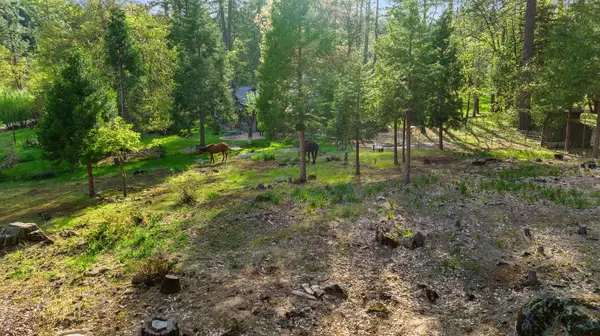 Grass Valley, CA 95945,13253 N Meadow View DR