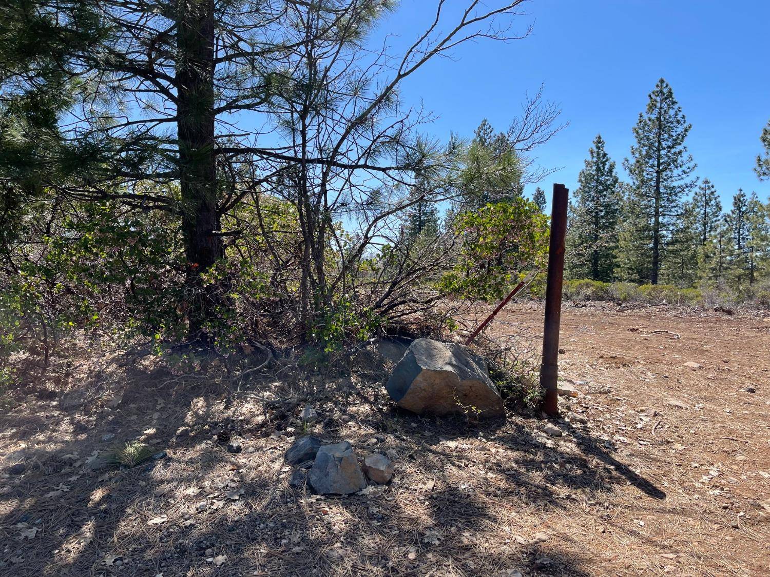 B Foresthill RD, Foresthill, CA 95631