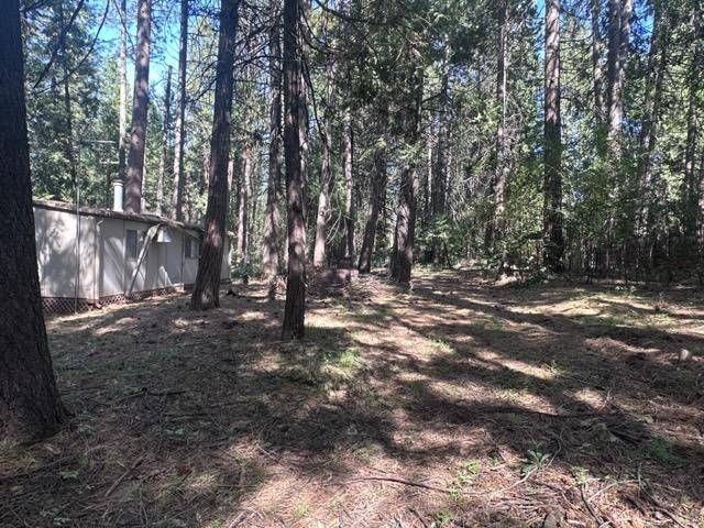 Volcano, CA 95689,19051 W Allan RD