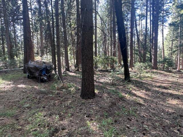 Volcano, CA 95689,19051 W Allan RD