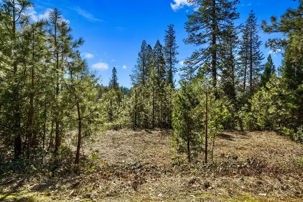 Grass Valley, CA 95945,12477 New Brunswick CT