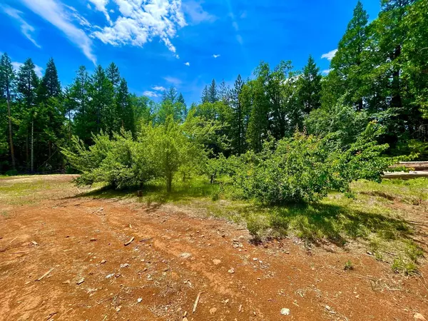 Nevada City, CA 95959,15320 Bluff View RD