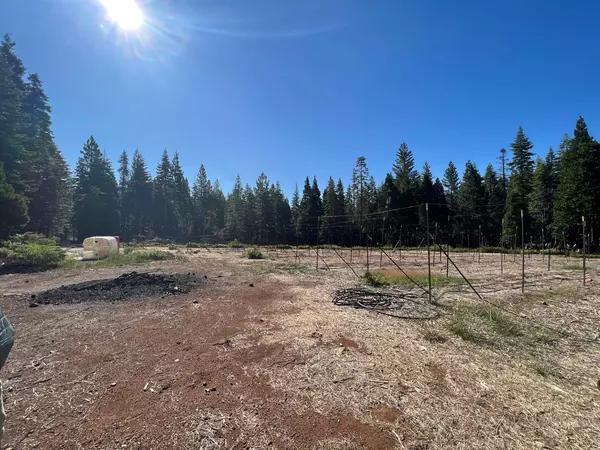 Nevada City, CA 95959,15234 Robbins Ranch RD