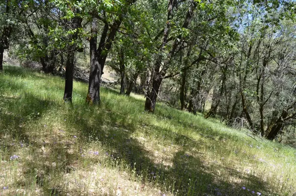 Grass Valley, CA 95949,12316 Kenneth CT