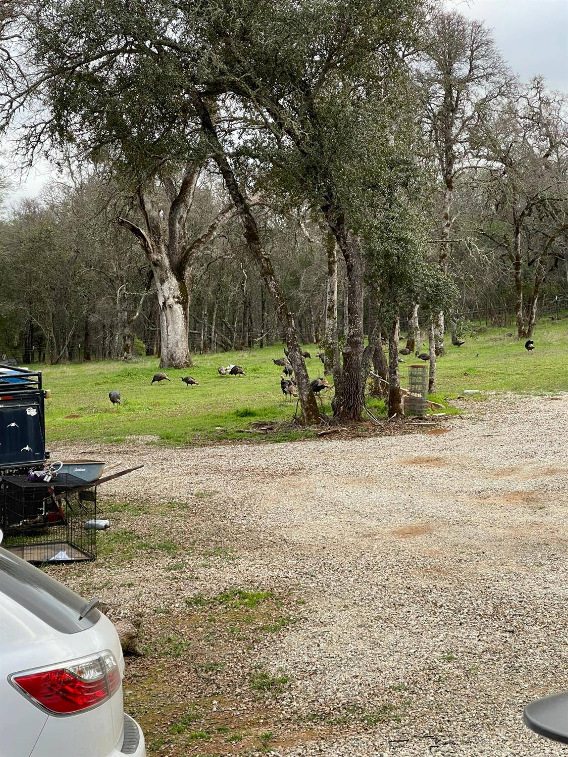 Browns Valley, CA 95918,12205 Nicole WAY