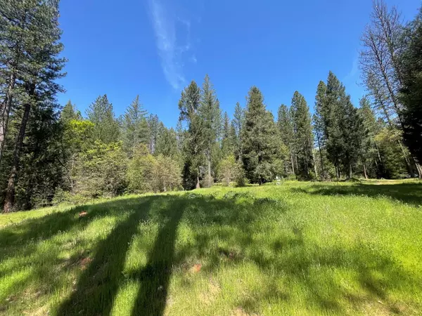 Nevada City, CA 95959,18822 Farrell Ravine WAY