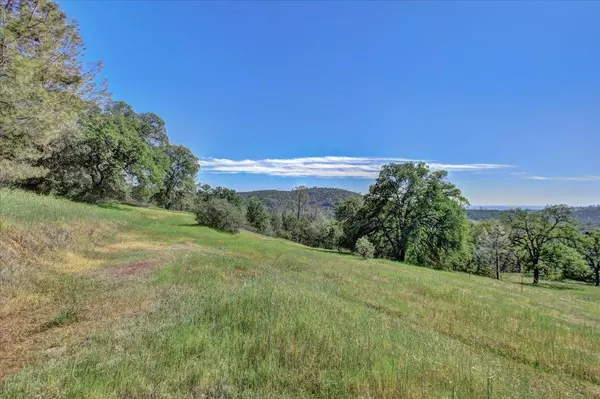 Smartsville, CA 95977,12286 Honey Mushroom Ln