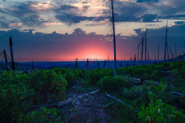 0 75 Acres East of Foresthill,  Emigrant Gap,  CA 95715