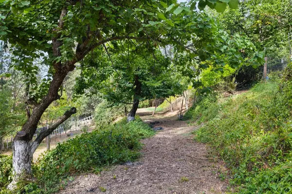 Columbia, CA 95310,22390 Church LN