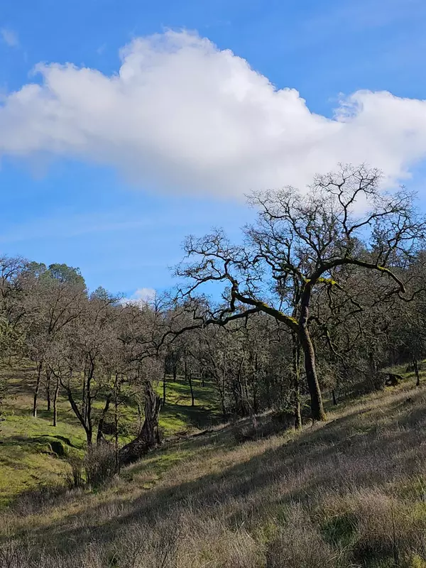 Placerville, CA 95667,0 Trails End DR