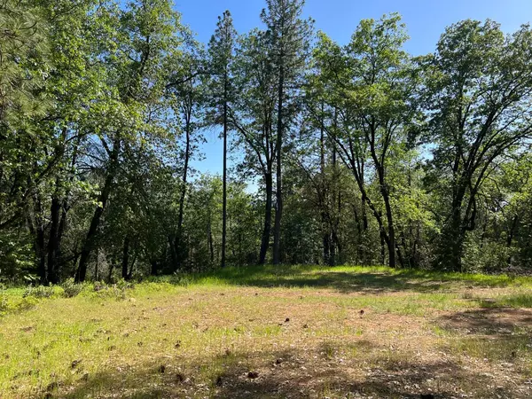 Nevada City, CA 95959,21160 Kuntz CT