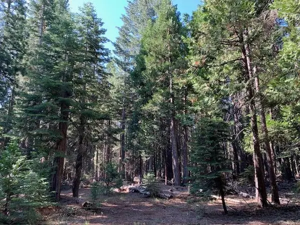 Nevada City, CA 95959,15113 Robbins Ranch RD