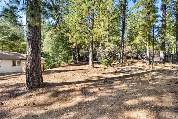 Pollock Pines, CA 95726,5824 Sly Park RD