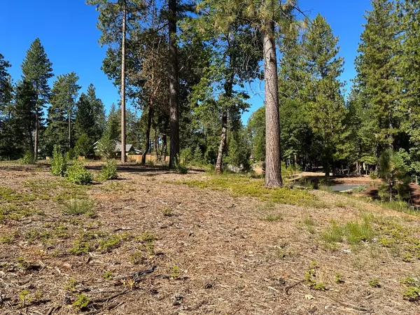 Nevada City, CA 95959,10441 Buffington CT