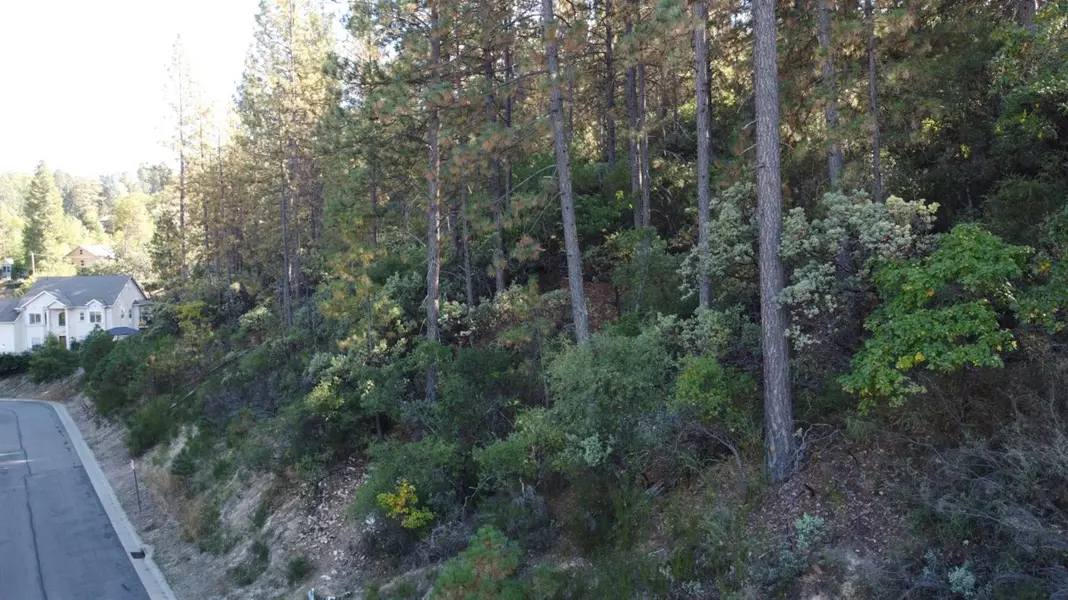 5 Estey WAY, Placerville, CA 95667