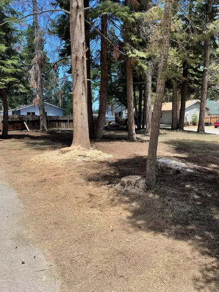 1084 Dedi AVE, South Lake Tahoe, CA 96150