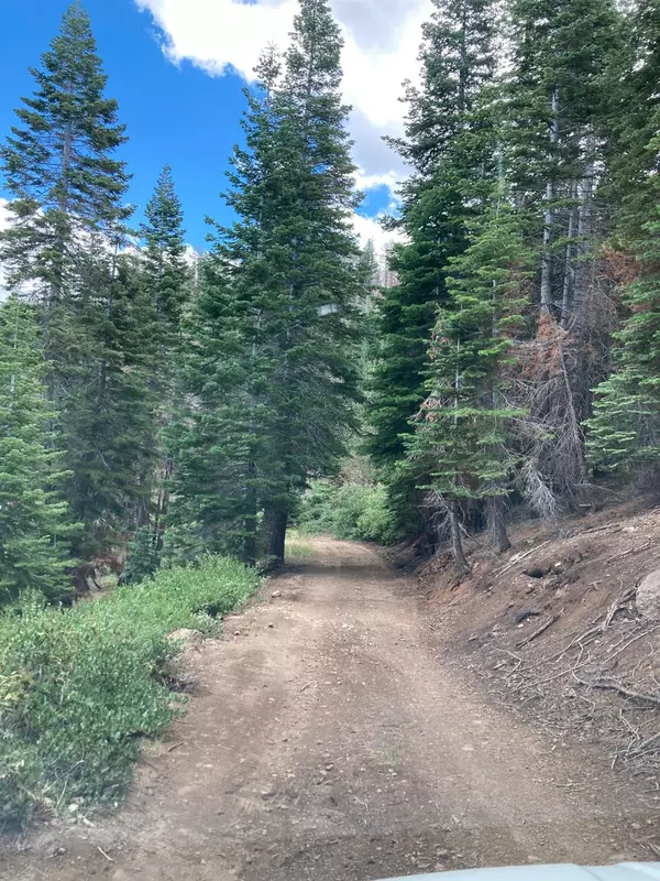 Markleeville, CA 96120,0 POOR BOY RD