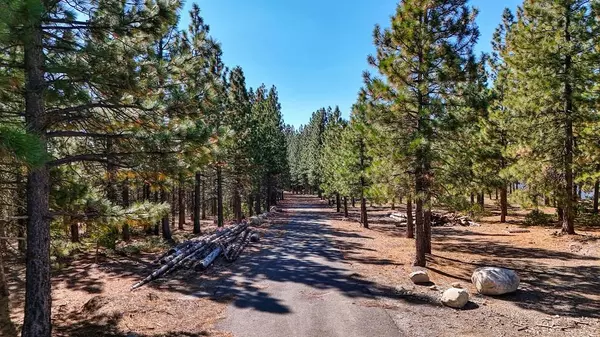 Emigrant Gap, CA 95715,41855 Nyack RD