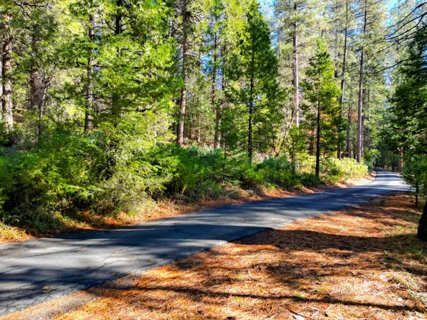 Nevada City, CA 95959,16094 Countrywood LN