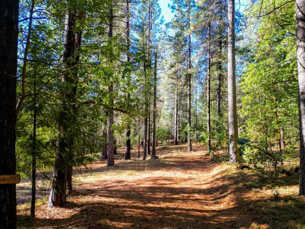 Nevada City, CA 95959,16094 Countrywood LN