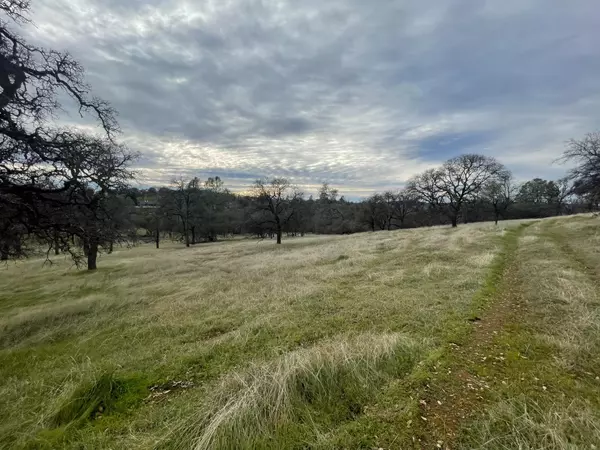 Placerville, CA 95667,1078 Shoreline DR