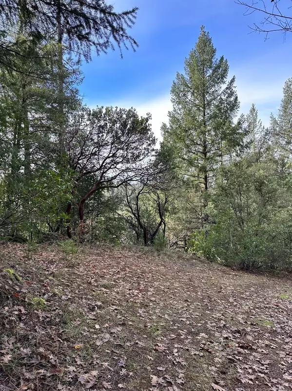 Placerville, CA 95667,0 Cedar Ravine RD