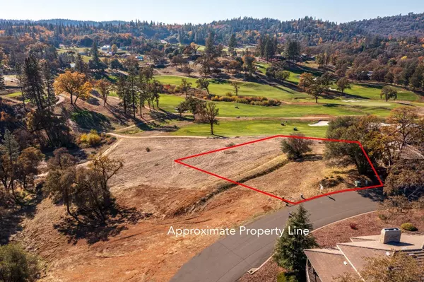 Auburn, CA 95602,Lot 71 Austin Forest CIR