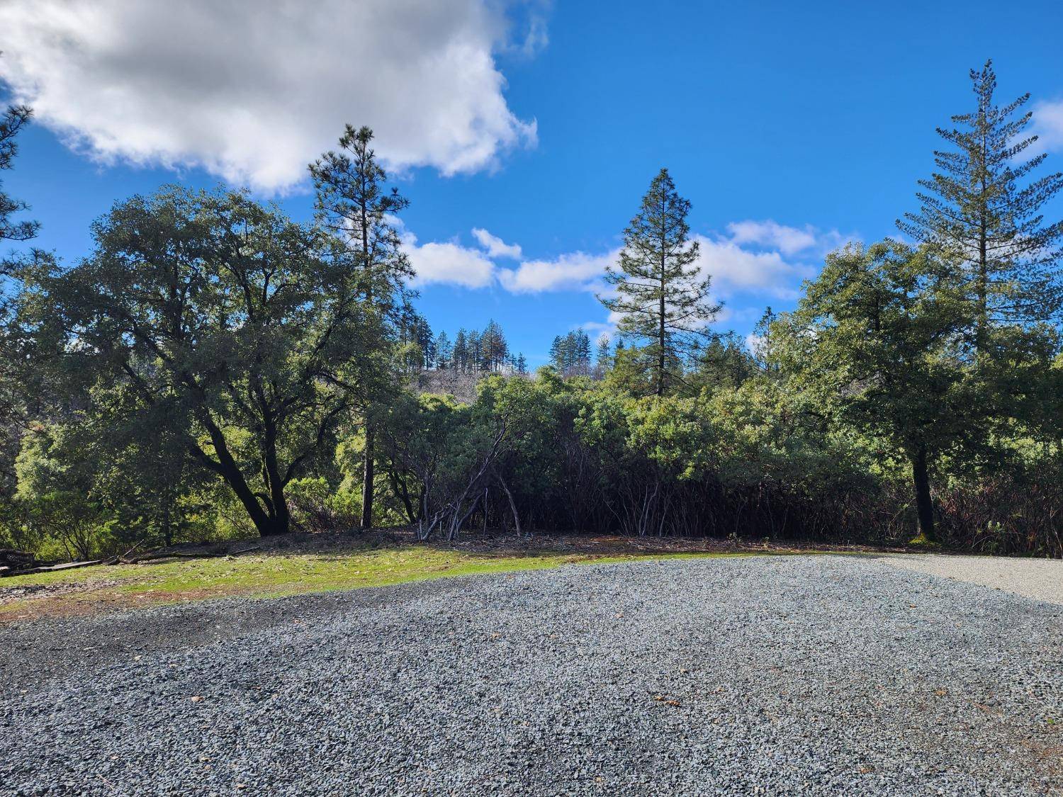 Colfax, CA 95713,20335 Montana LN