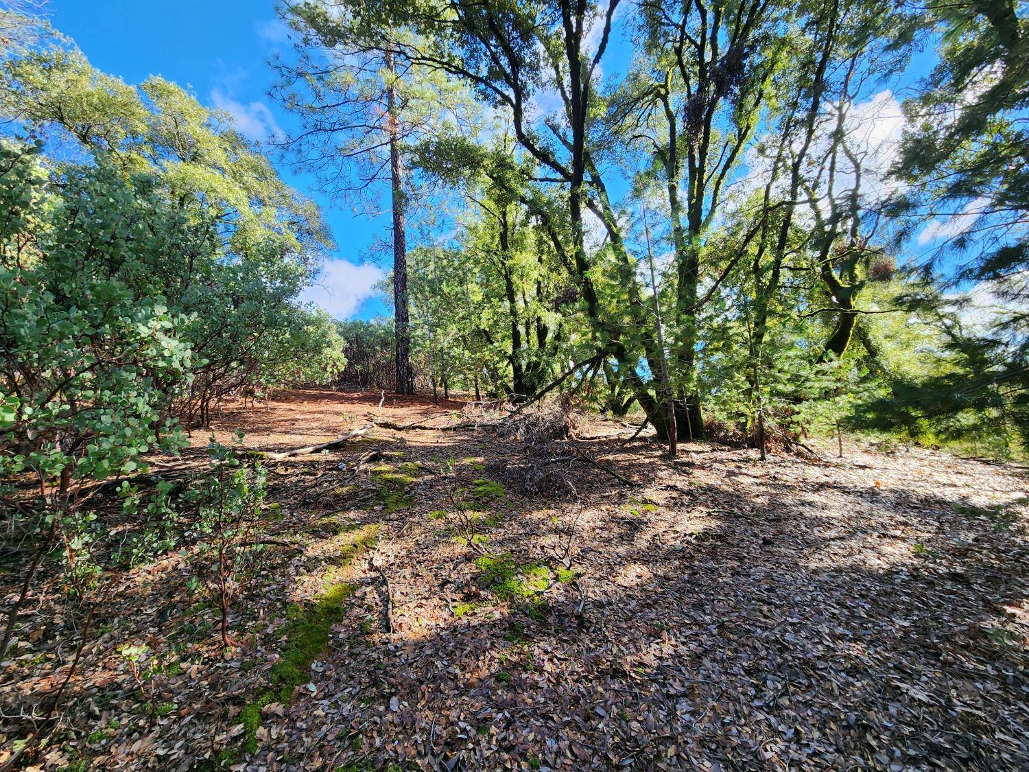 Colfax, CA 95713,20335 Montana LN