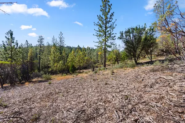 Nevada City, CA 95959,10050 Sun Shadow