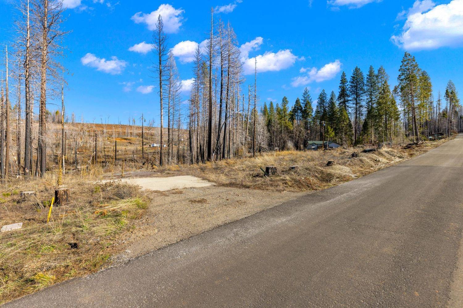 7413 Winding WAY, Grizzly Flats, CA 95636