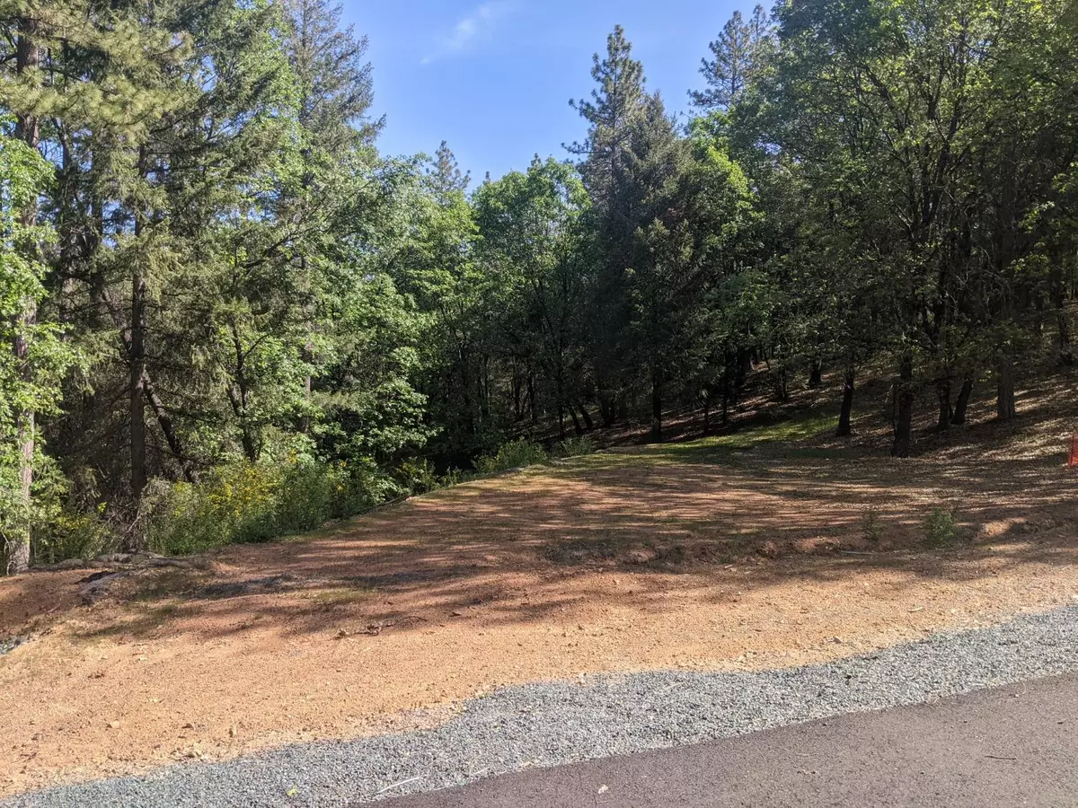 Colfax, CA 95713,1 Eden Forest DR