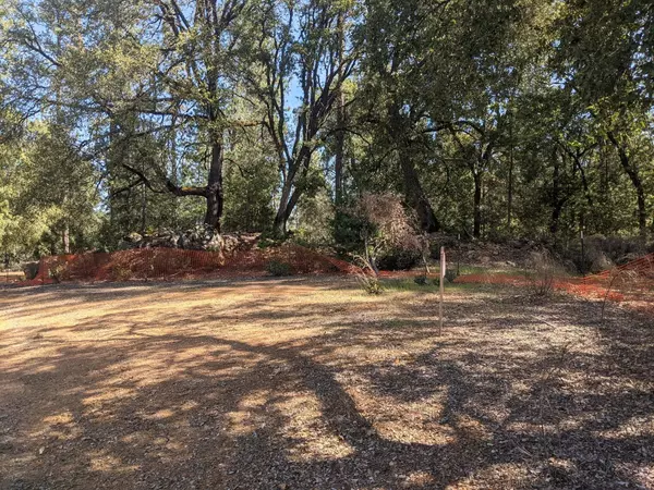 2 Eden Forest DR, Colfax, CA 95713