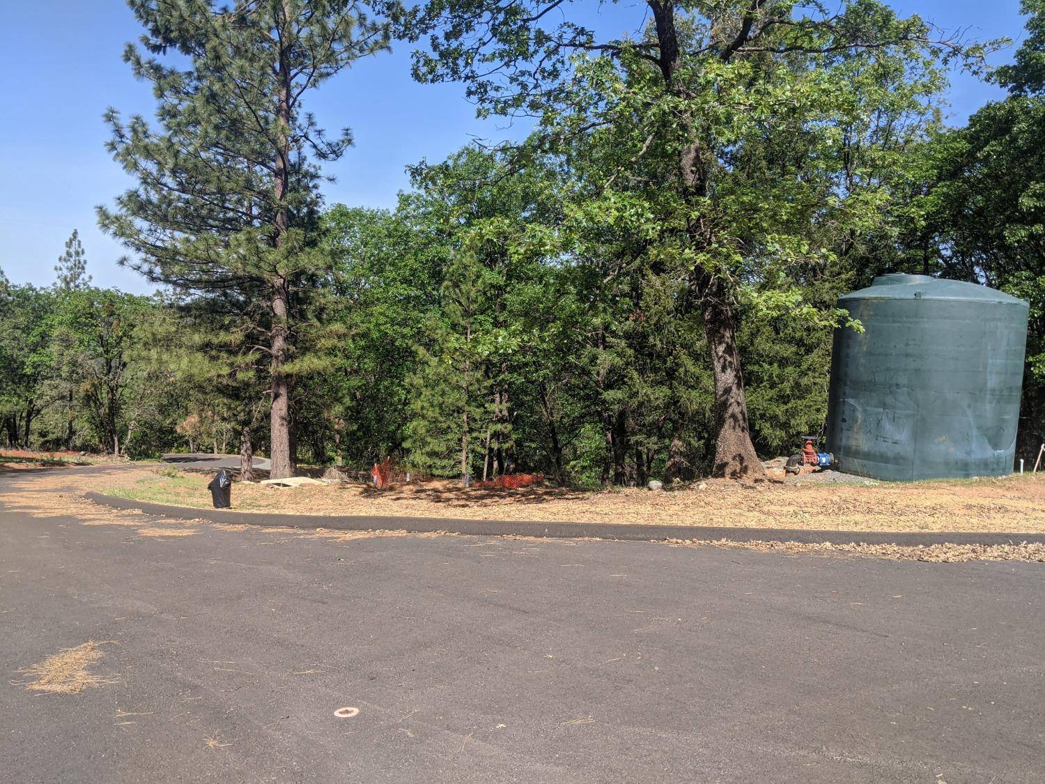 Colfax, CA 95713,2 Eden Forest DR