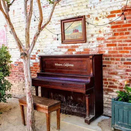 Winters, CA 95694,19 Main ST