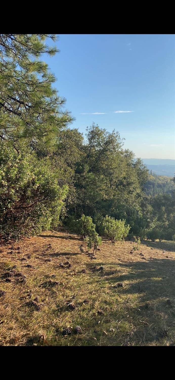 Glencoe, CA 95323,15238 HWY 26