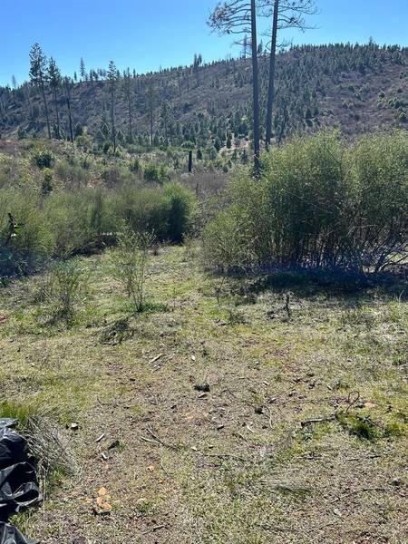1234 Hog Ranch RD, Oroville, CA 95969