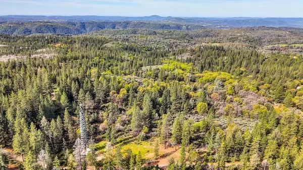 Placerville, CA 95667,Address not disclosed
