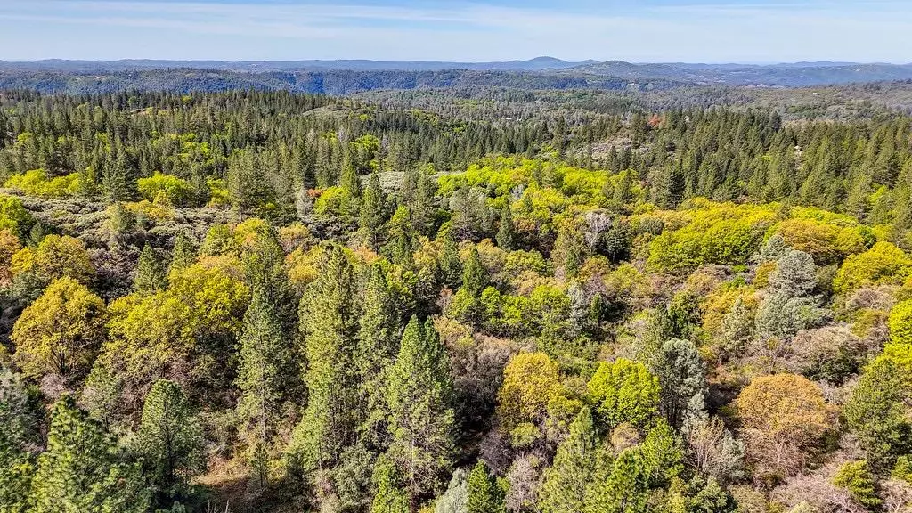 Placerville, CA 95667